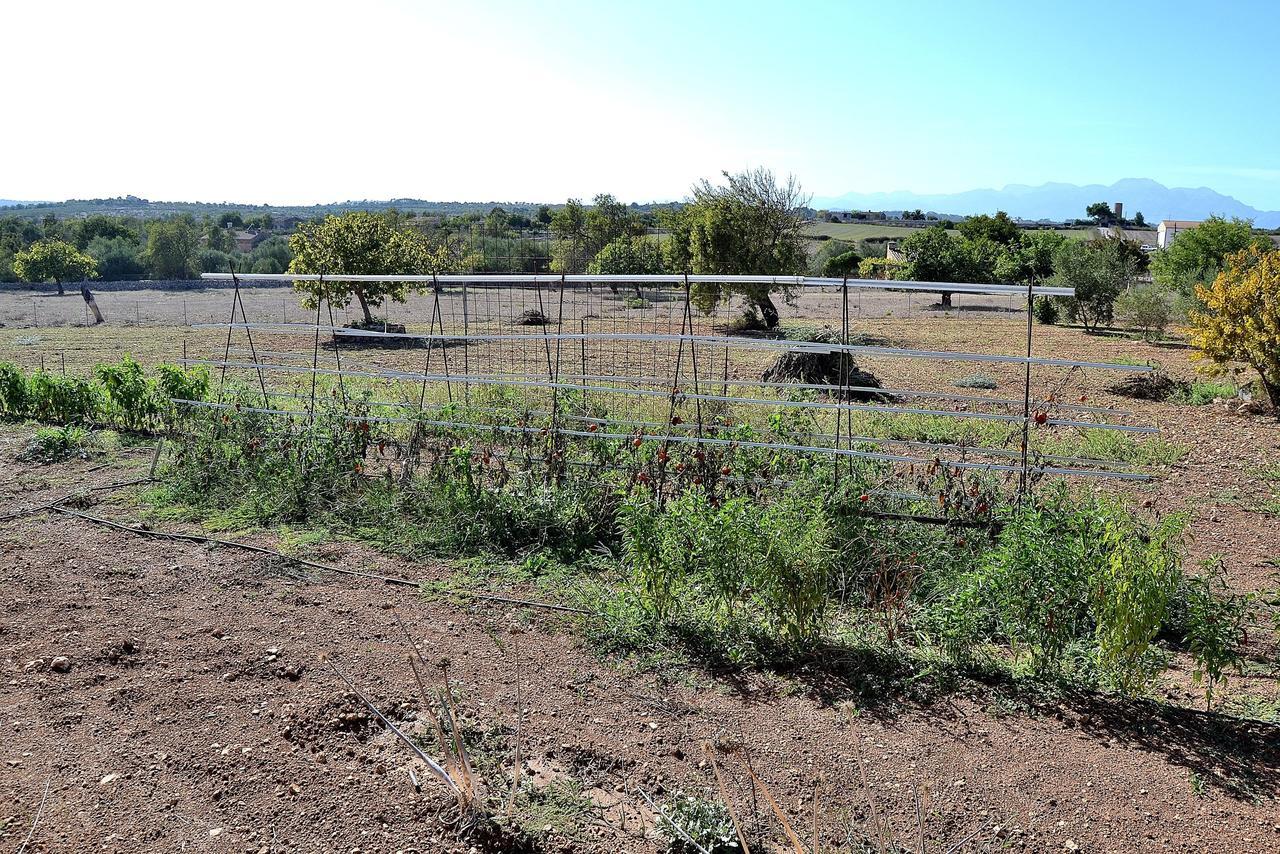 054 Finca Es Bosquerro Etv5362 By Mallorca Charme Santa Margalida Ngoại thất bức ảnh